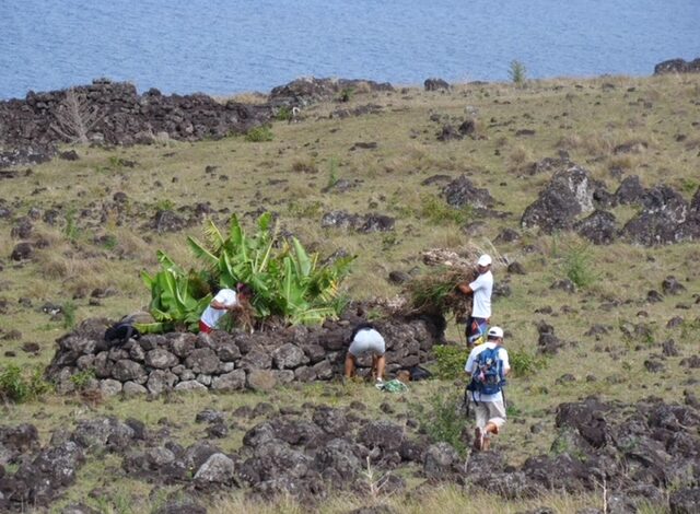  Klorane aporta a la conservación de la biodiversidad de Rapa Nui 