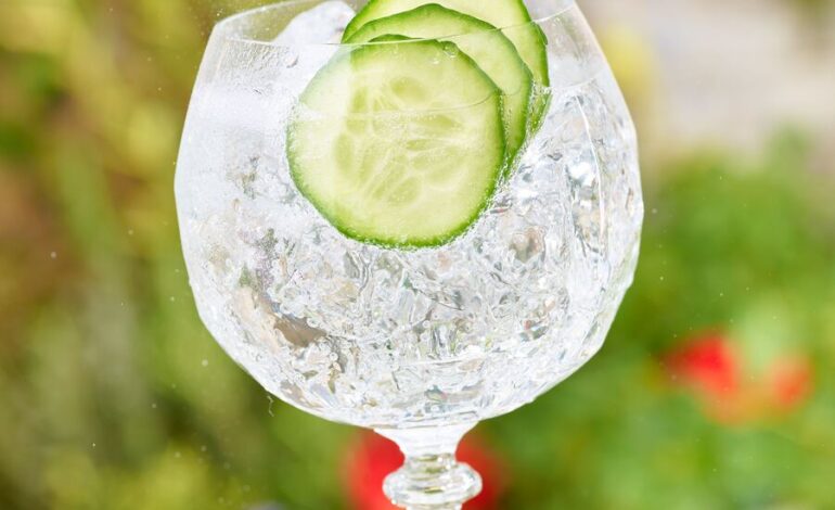  La relevancia del pepino al beber gin